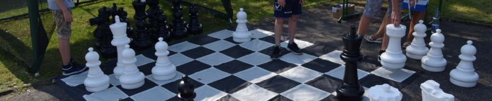 12 Plenerowy turniej szachowy 2017